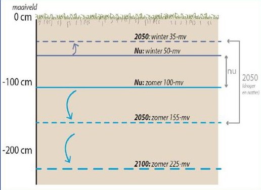 Impact van klimaatverandering op de grondwaterstand in het stroomgebied